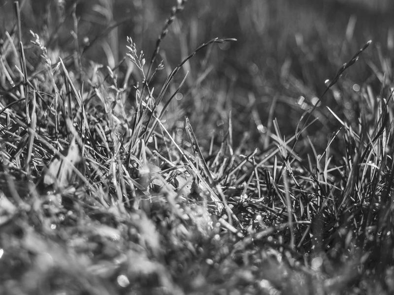 sudoku relaxation mode screenshot 5